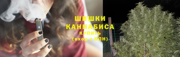 ПСИЛОЦИБИНОВЫЕ ГРИБЫ Магас