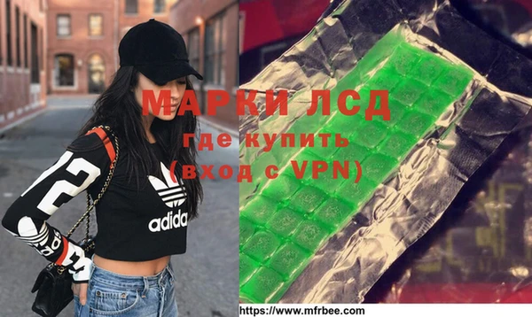ПСИЛОЦИБИНОВЫЕ ГРИБЫ Магас