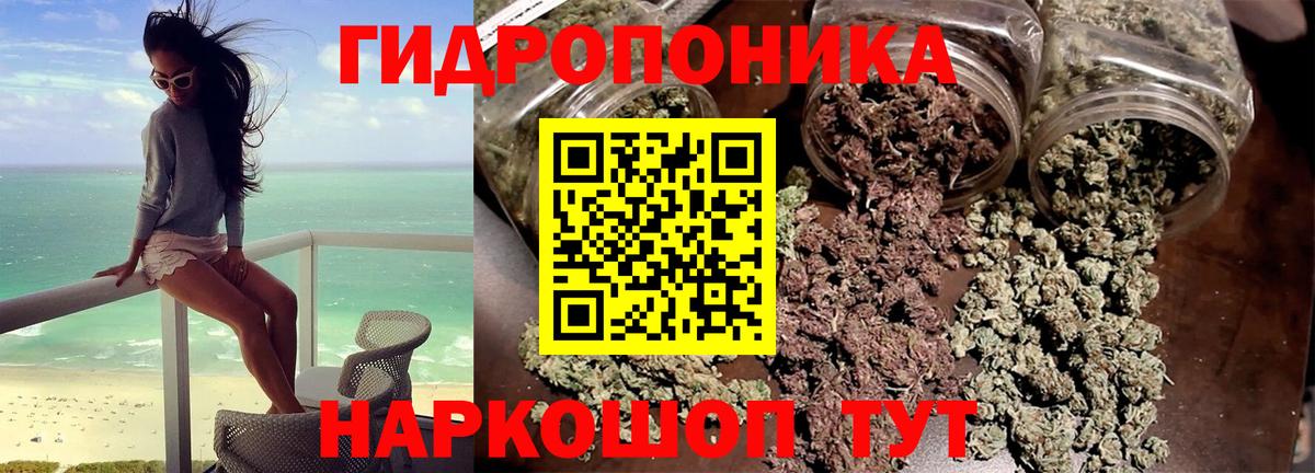 Шишки марихуана тримм  Каннабис THC 21%  Воткинск  Конопля планчик  Вход с VPN  Бошки Шишки конопля 